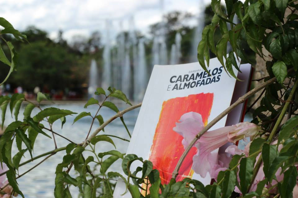 Parque das Mangabeiras, MG