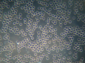 La cuenta que siempre se paga: El pH y el saqueo de nuestros propios muros