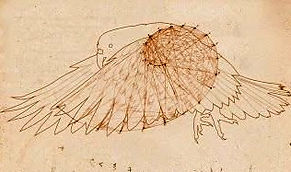 Leonardo Da Vinci Bird