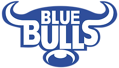 Blue_Bulls_logo.png