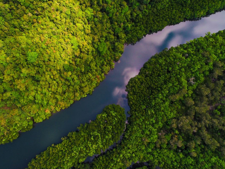 La Amazonia se está secando
