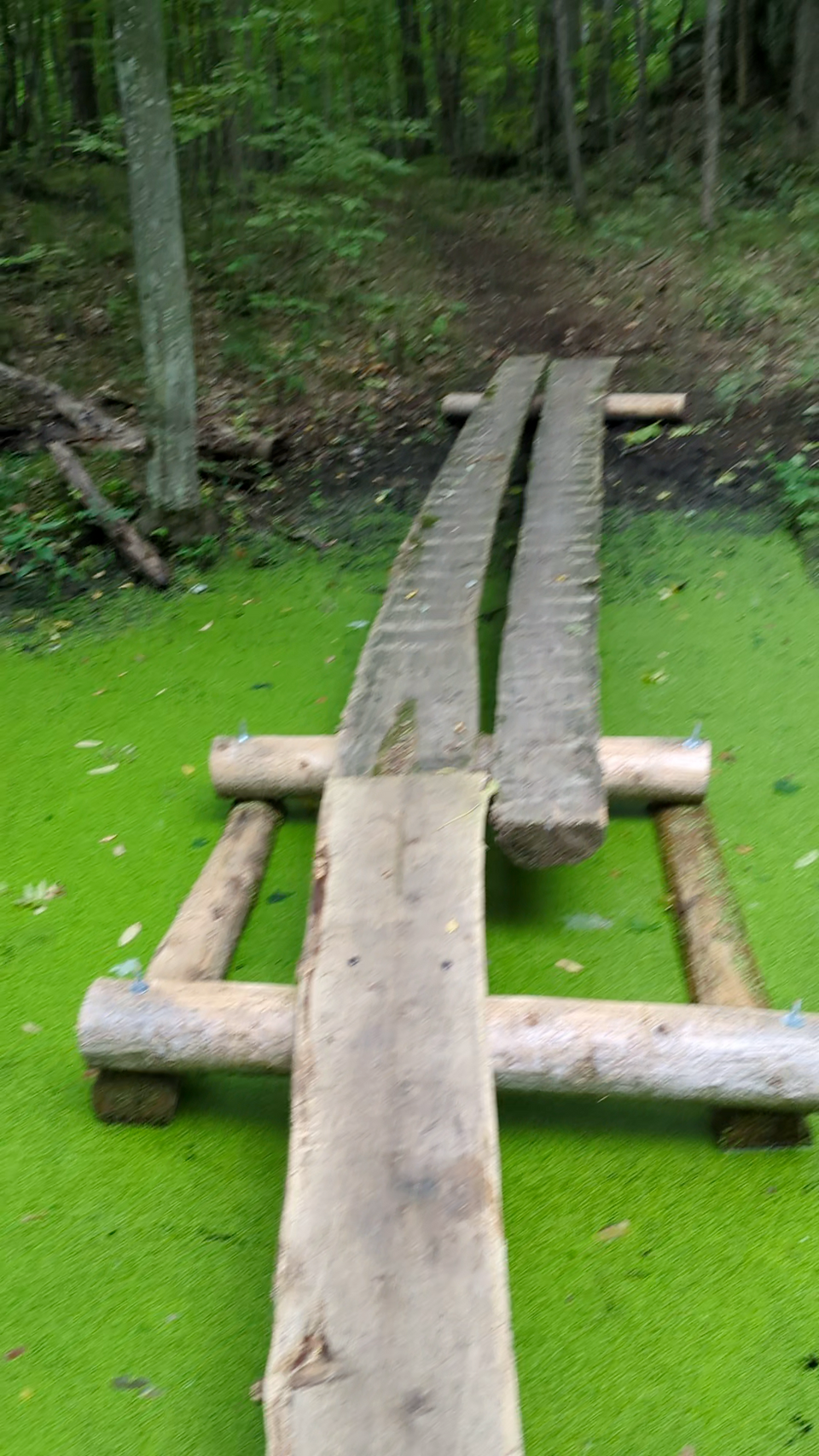 Frontenac Park