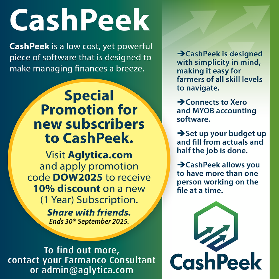 Try CashPeek (free trial). Make Budgeting a Breeze