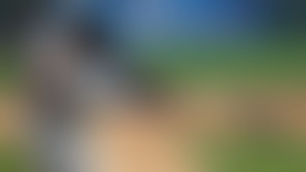 Unlucky Hitters - 2020