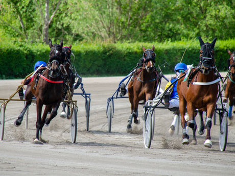 The "Platinum Fusion" Breakthrough: How TrackSmart AI Prompt 54 Turns TrackMaster Data Into a Physics-Driven Crystal Ball