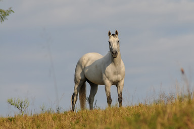 DSC_1205-2.jpg