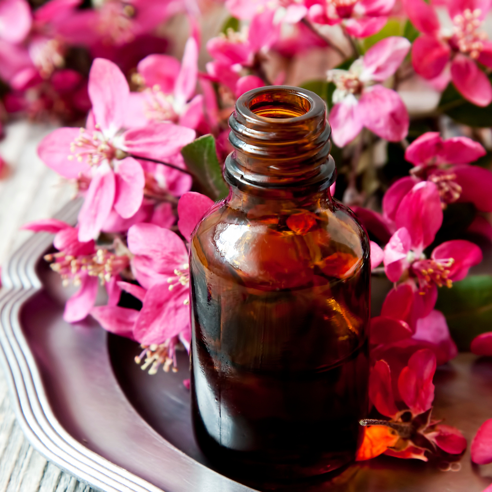 Bush Flower Essences for 2026