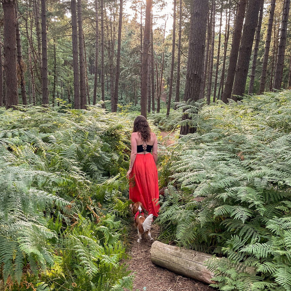 November spiritual energy