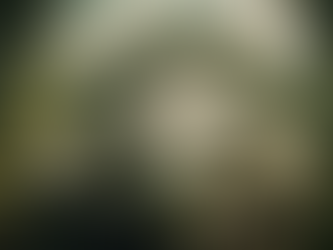 Hybrid Cars 101: Everything You Need to Know