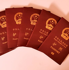 护照