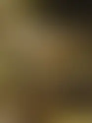 Colostro bovino para massa muscular realmente funciona ou é golpe?