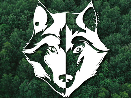 Les grands types de logos