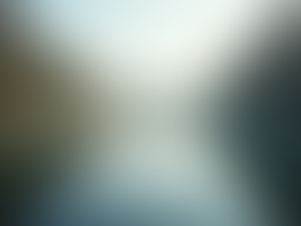 The Power of Mindfulness in Everyday Life