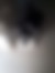 dördüncü kedi sahiplendirme resminin ilanları arasındaki yeri