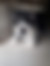 ücretsiz kedi sahiplendirme ilanları arasında üçüncü sıradaki ikon