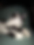 sahiplendirme için kedi ilanlari gösteren ikinci küçük fotoğraf