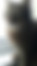 sahiplendirme için kedi ilanlari gösteren ikinci küçük fotoğraf