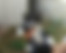sahiplendirme için kedi ilanlari gösteren ikinci küçük fotoğraf