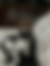 sahiplendirme için kedi ilanlari gösteren ikinci küçük fotoğraf
