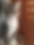 sahiplendirme için kedi ilanlari gösteren ikinci küçük fotoğraf