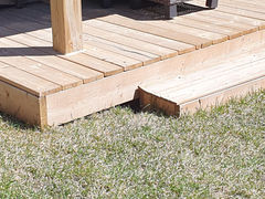 skunk under shed removal
