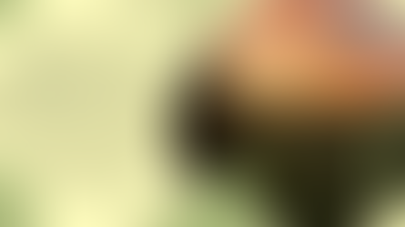 Going Into The New Year | Weekly Recap