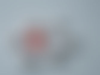 The Ripple Effect of Responsible Risk Management in Modesto