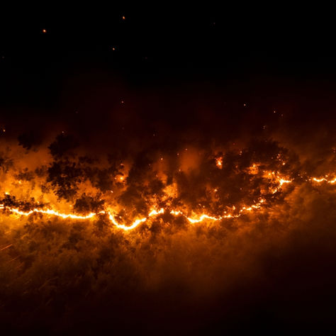Changing Home Insurance in California: Wildfire Crisis Survival Guide