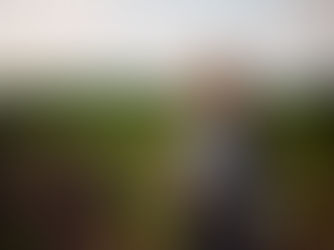 Business Insurance Essentials for Modesto’s Agricultural Sector