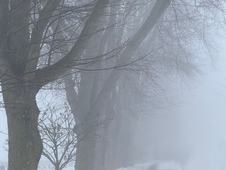 The quiet language of fog...