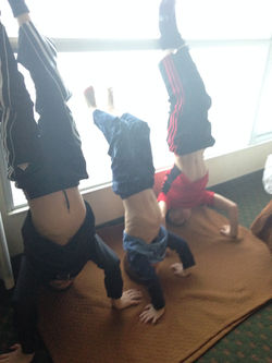 Pine-Richland Youth Wrestling