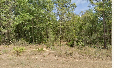 Homosassa Land 