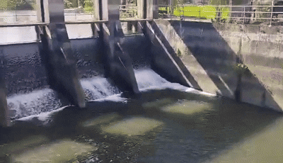 329617983_5593455984098628_8893318350832730111_n (online-video-cutter.com).gif