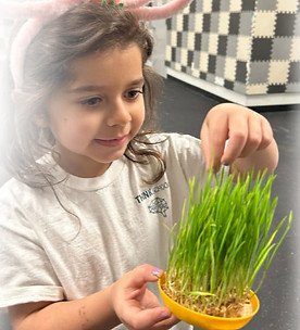 White and Black Simple Marketing LinkedIn Banner(5)_edited.jpg