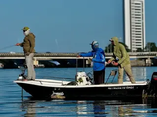 7 Razões que tornam Recife uma experiência Única para Pesca de Tarpons no Brasil