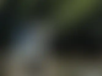 Melhor Equipamento para Pescar Baby Tarpon no Brasil