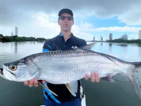 The Best Time to Fish at the Capibaribe River and How the Tide Affects Tarpons