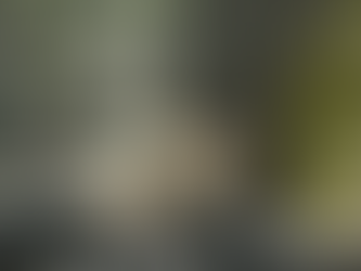 Weekly notes (04/2024)