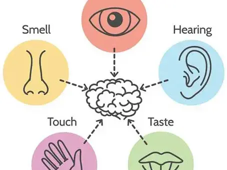Enhancing Awareness Through the Power of Exteroception