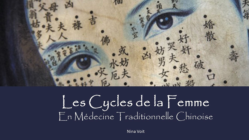 Conférence: Les cycles es femmes