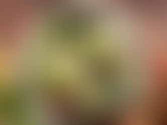 Le bouillon énergisant - l'équilibre acido-basique au quotidien!