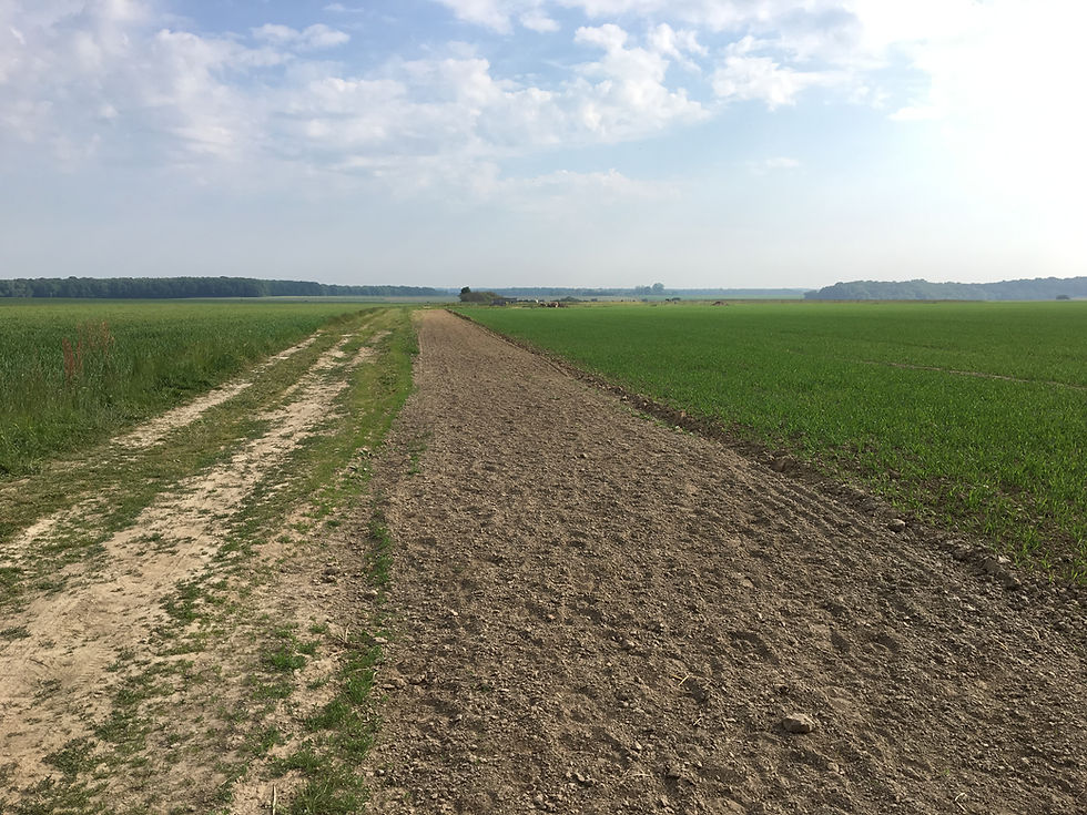piste de galop