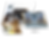 b2b-ecommerce-agency-shopify.png