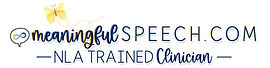 Meaningful Speech, NLA trained clinician in San Francisco, CA