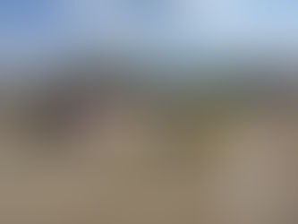 11月15日 5年生TM