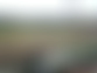 サッカーフェスティバル