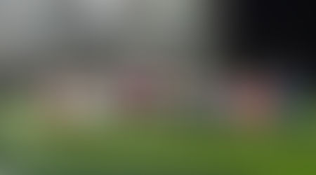 7月13日 4,3年生TM