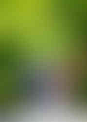 World Photography Day - Japan