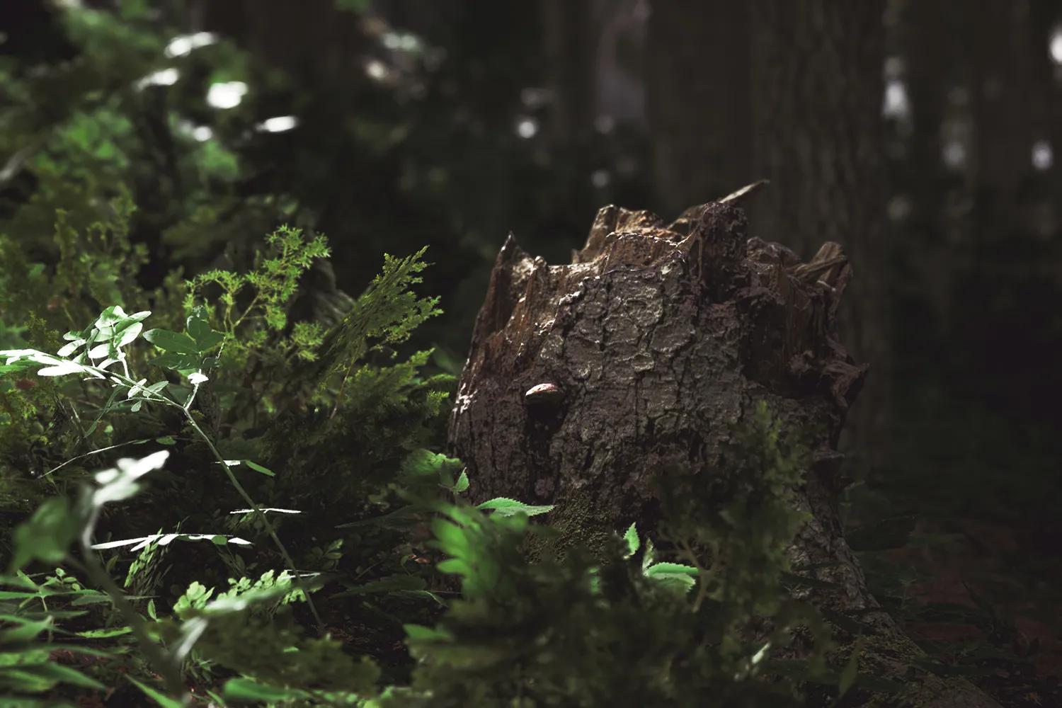 Lushfoil Photography Sim Review