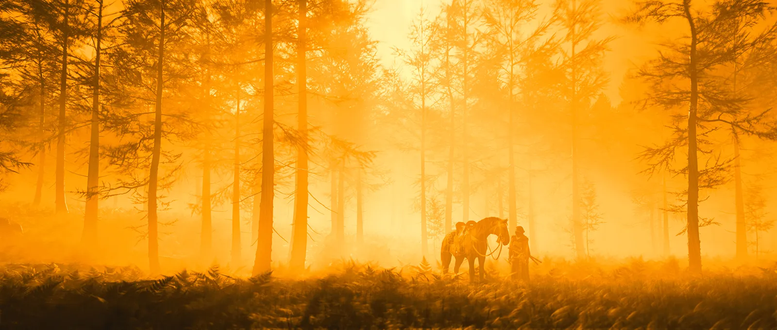 Ghost of Yōtei Photo Mode Updates